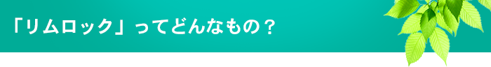 「リムロック」ってどんなもの？